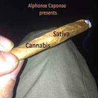 Alphonse Caponso - Sativa Cannabis