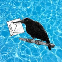 Molino - The Birds