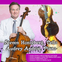 Steven Honigberg - Honigberg plays Schubert and Schumann