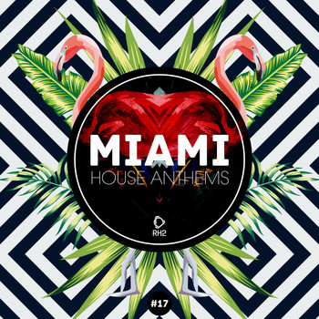 Various Artists - Miami House Anthems, Vol. 17