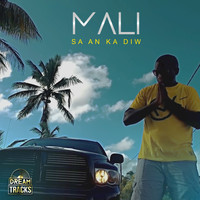 Mali - Sa an Ka Diw