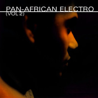 Jerome Sydenham - Pan-African Electro (Vol. 2)