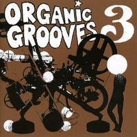 Organic Grooves - Organic Grooves 3