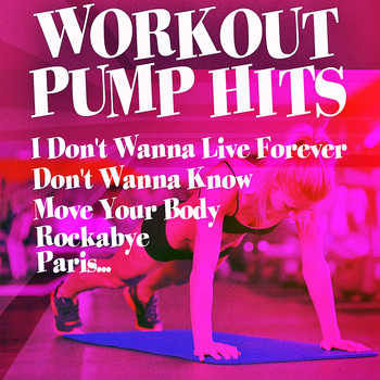 Various Artists - Workout Pump Hits