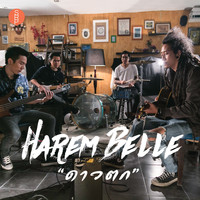 Harem Belle - ดาวตก