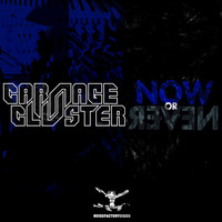 Carnage & Cluster - Now or Never