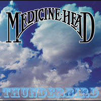 Medicine Head - Thunderbird