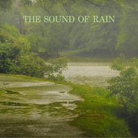 Rain Sounds, Nature Sounds & Rain for Deep Sleep - The Sound of Rain