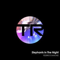 Federico Sanchez - Elephants In The Night