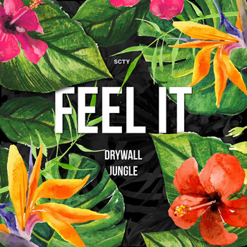 Drywall Jungle - Feel It