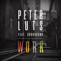 Peter Luts - Work
