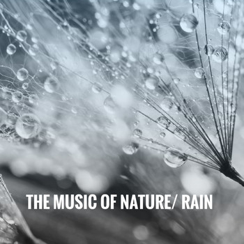 Ocean Waves For Sleep, White! Noise and Nature Sounds for Sleep and Relaxation - The Music of Nature: Rain