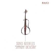 Stoned Butterflies - Symphony Orchestra