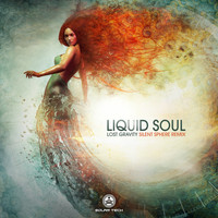 Liquid Soul - Lost Gravity