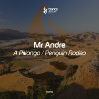 Mr Andre - A Pillango / Penguin Rodeo