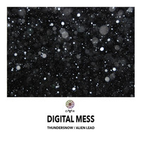Digital Mess - Thundersnow