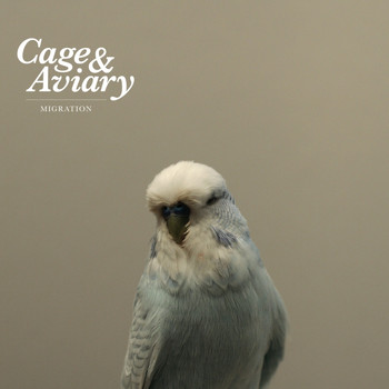 Cage & Aviary - Migration