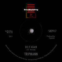 Tripmann - DO IT AGAIN 12" VERSION
