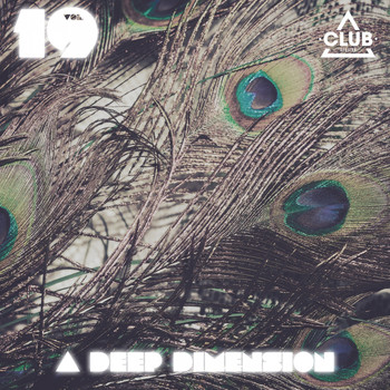 Various Artists - A Deep Dimension, Vol. 19 (Explicit)