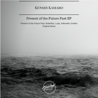 Kenshi Kamaro - Present of The Future Past