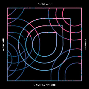 Noise Zoo - Namibia /  Flare