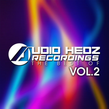Various Artists - Audio Hedz Recordings The Best Of, Vol. 2
