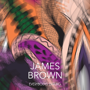 James Brown - Everybodys Darling