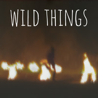 Catch Fire - Wild Things