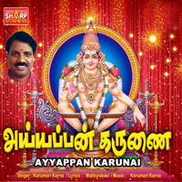 Karumari Karna - Ayyappan Karunai