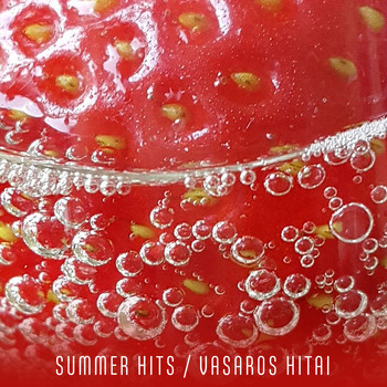 Various Artists - Summer Hits / Vasaros hitai