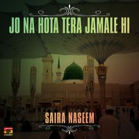 Saira Naseem - Jo Na Hota Tera Jamale Hi, Vol. 1