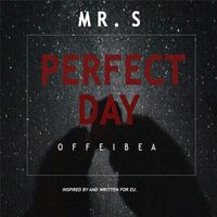 Mr. S - Perfect Day (Offeibea)