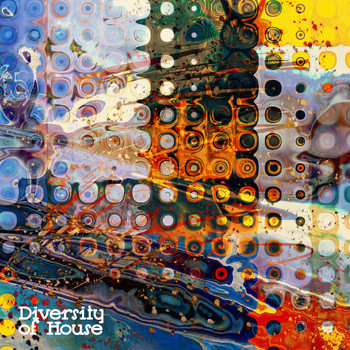 Various Artists - Diversity of House