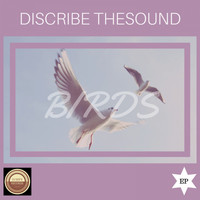 Discribe Thesound - Birds