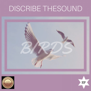 Discribe Thesound - Birds