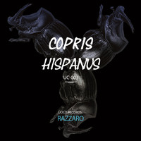 Razzaro - Copris Hispanus