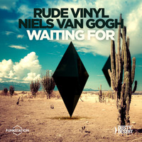 Rude Vinyl & Niels Van Gogh - Waiting For