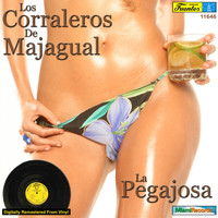 Los Corraleros De Majagual - La Pegajosa