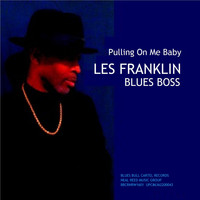Bishop L. E. Franklin - Pulling on Me Baby