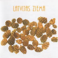 Dažādi izpildītāji - Latvijas ziema