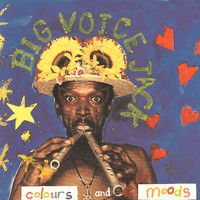 Big Voice Jack Lerole - Colours and Moods