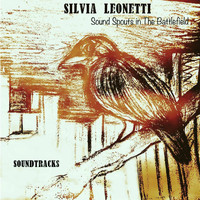 Silvia Leonetti - Sound Spouts in the Battlefield
