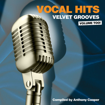 Various Artists - Vocal Hits Velvet Grooves Volume Too!