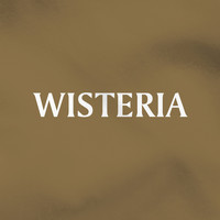Babe - Wisteria