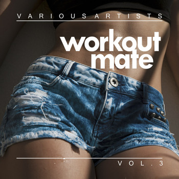 Various Artists - Workout Mate, Vol. 3