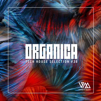 Various Artists - Organica #36