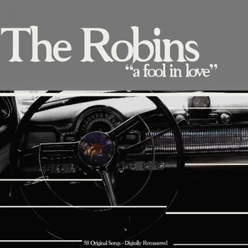 The Robins - A Fool in Love