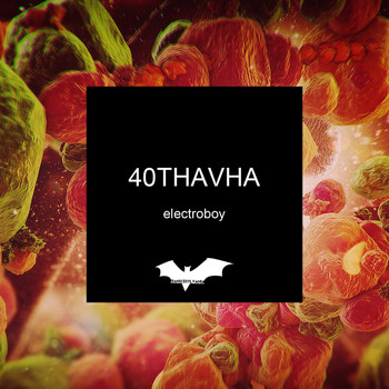 40Thavha - Electroboy