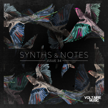 Various Artists - Synths and Notes 34