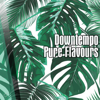 Various Artists - Downtempo Pure Flavours